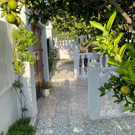 With Large Roof Terrace Near La Mata 別荘 トレビエハ